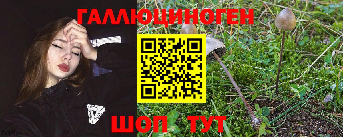 Псилоцибиновые грибы Magic Shrooms Гуково